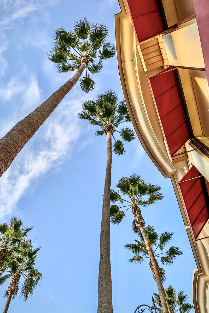 Tall palm trees against a bright blue sky beside a red-and-gold building